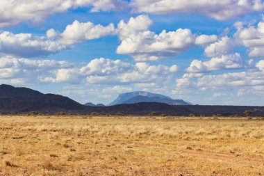 Kenya Samburu 'daki Buffalo Springs Reserve' deki bu sahnede Samburu halkı için kutsal olan Ololokwe Dağı ile birlikte geniş gökyüzü ülkesinin panoramik manzarası.
