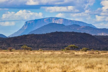 Samburu kabilesi için kutsal olan Ololokwe Dağı Kenya 'daki Buffalo Springs Reserve' deki panoramik manzarada görülen muazzam Samburu rezervlerine hakimdir.