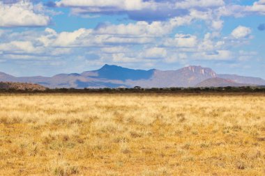 Samburu, Kenya 'nın Samburu İlçesi' ndeki Buffalo Springs Reserve 'deki bu muhteşem manzarada kayan tepelerle kaplı uçsuz bucaksız çim düzlükleriyle büyük bir gökyüzü ülkesi.