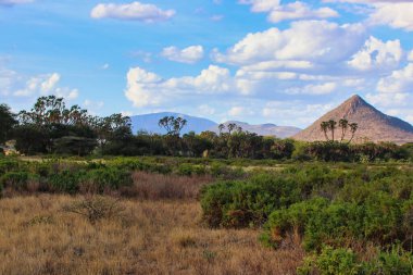 Sambur rezervinin piramit dağı Lolpopong Dağı Kenya 'nın Samburu İlçesi' ndeki Buffalo Springs Reserve 'deki yoğun çalı ve çivili palmiye bahçesine hakimdir.