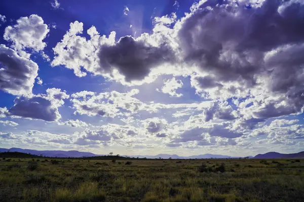 Karanlık fırtına bulutları Kenya 'nın Samburu ilçesindeki Buffalo Springs Reserve' deki uçsuz bucaksız Samburu savanasının büyük çim düzlüklerine gölge düşürüyor.