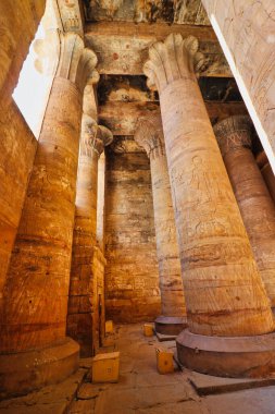 Edfu 'daki Horus Tapınağı' ndaki Hypostyle galerisinde MÖ 237 ile MÖ 57 yılları arasında Mısır 'ın Aswan kenti yakınlarında inşa edilen muhteşem sütunlar.