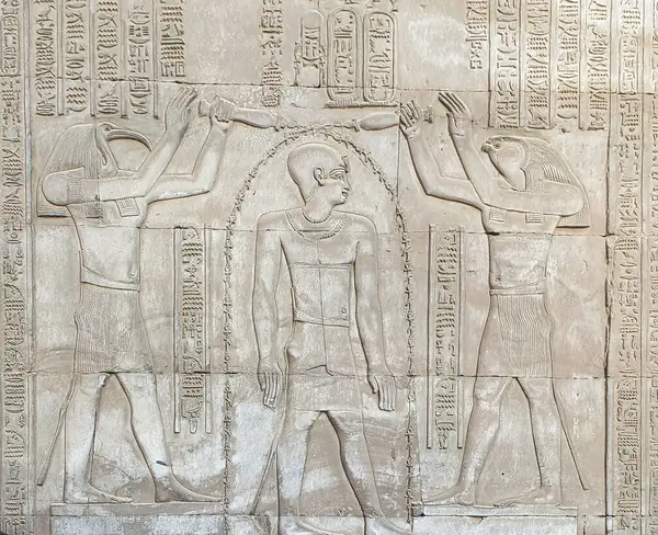 Zdi Reliéf Ptolemaios Viii Euergetes Tryfon Čištěný Thoth Hora Chrámu Royalty Free Stock Obrázky