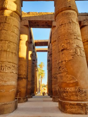 Mısır 'ın Luxor kentindeki Amun-Re' ye adanmış Karnak tapınak kompleksinin ana galerisinde Firavun ve Tanrıları tasvir eden duvarlarla süslenmiş Majestic Hypostyle sütunları.