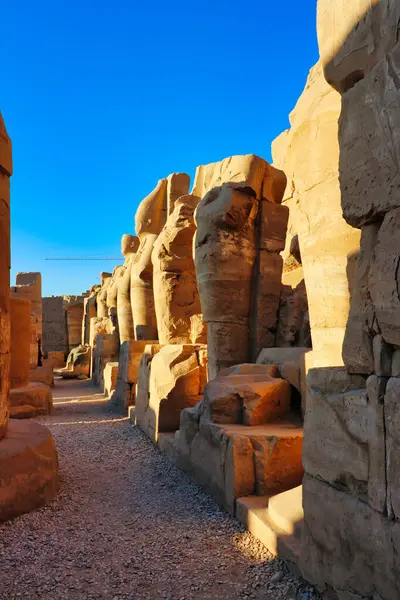 Статуи Осириды Осириса Изображающие Тутмоса Построенные Тутмосом Iii Поврежденными Головами Стоковое Изображение