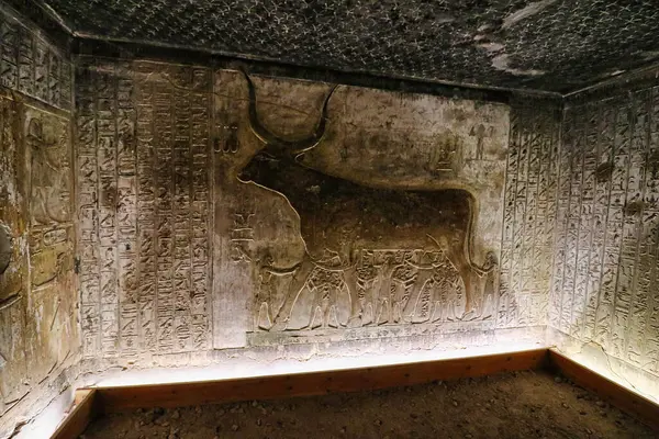 stock image Beautiful wall relief of a Celestial Cow depicting scenes from the Book of the Heavenly Cow in the Tomb of Seti I, KV17 at the Theban necropolis in the Valley of Kings in Luxor,Egypt