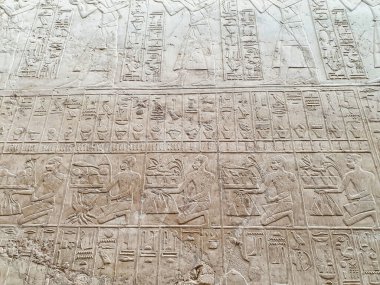 Ramose 'un Ramose Mezarlığı' ndaki ürünleri tasvir eden duvar koruyucuları Ramose 'un mezarına getiriliyor, Baş-Vezir Akhenaten' e, TT55 Luxor, Mısır 'daki Soylular Mezarlığı' na getiriliyor.