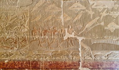 Timsahlar, hipopotamlar ve Merurka 'nın adamlarının Merurka Mastaba Mezarlığı' nda kuşları yakaladığı güzel duvar yardım sahneleri, Büyük Vezir 'den Firavun Teti' ye, Saqqara, Kahire, Mısır 'daki 6. hanedanlık