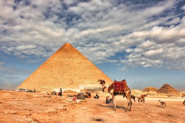 Mısır 'ın Kahire yakınlarındaki Giza Platosu' ndaki Büyük Khufu Piramidi 'nin önünde sıcak öğleden sonra güneşinde tam teşekküllü bir Deve turistleri bekliyor.