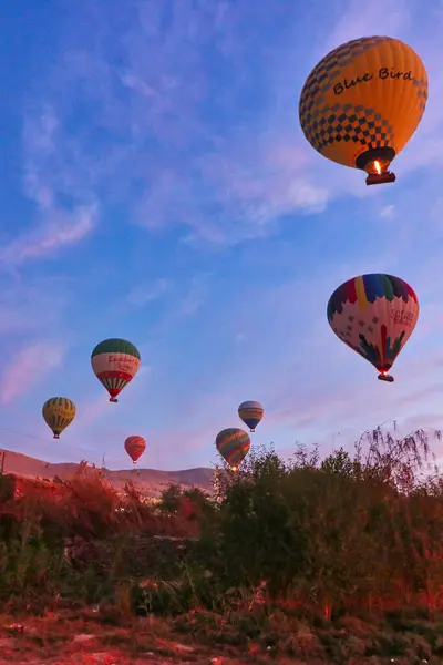 stock image Colorful Hot air balloons in a blue early morning sky soar over the sahara desert offering visitors views over the vast theban necropolis near Luxor,Egypt