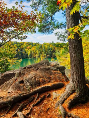 Gatineau Park, Quebec, Kanada 'daki Gatineau Park' ta mevsimin renklerini turuncu, sarı ve kırmızı renkler olarak değiştiren bir ağaç manzarası gibi bir tablo.