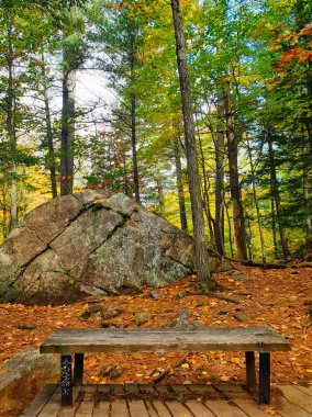 Gatineau Park, Quebec, Kanada 'da sonbahar sezonunun parlak turuncu, sarı ve kahverengileri ile ağaçların olduğu bir koruluktaki kayalık bir çıkıntı, bir park bankının manzarası gibi çarpıcı bir görüntü.