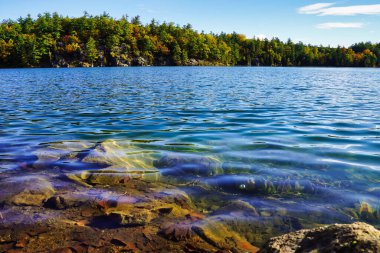 Kanada 'nın Quebec kentindeki Gatineau Park' ta ortaya çıkan Meromiktik bir göl olan Pembe Göl gibi muhteşem camlar Kanada 'nın sonbahar sezonunun güzelliğini gözler önüne seriyor.