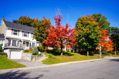Sonbahar sezonu, Ottawa 'nın banliyö toplumlarını Ottawa, Ontario, Kanada' nın merkezindeki Dows Gölü yakınlarında görülen kırmızı, turuncu ve sarı renkli bir renkle aydınlatıyor.