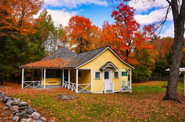 Göz kamaştırıcı turuncu ve kırmızı sonbahar renkleri, Kanada başbakanı Mackenzie King 'in Kanada' nın Quebec eyaletindeki Gatineau Park 'taki malikanesindeki evinin güzel bir portresini çiziyor.