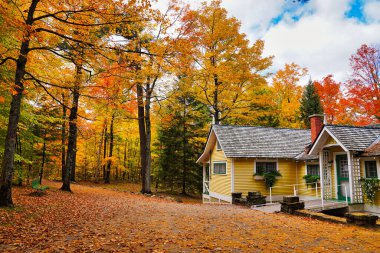 Kanada başbakanı Mackenzie King 'in Kanada' nın Quebec, Quebec eyaletindeki Gatineau Park 'taki malikanesinde yaşadığı ormanlık alanda ikamet ettiği bir miras kulübesini çerçeveleyen turuncu ve kırmızı sonbahar kartpostal manzarası.