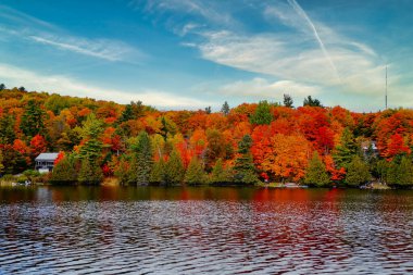Gatineau Park, Quebec, Kanada 'daki Mackenzie King Estate' te görülen turuncu, kırmızı ve sarı renkli yapraklarla sonbahar mevsiminde Kingsmere Gölü manzarası.