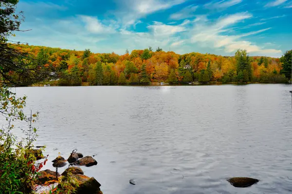Gatineau Park, Quebec, Kanada 'daki Mackenzie King Estate' te görülen turuncu, kırmızı ve sarı renkli yapraklarla sonbahar mevsiminde Kingsmere Gölü manzarası.
