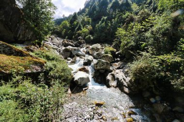 Nepal, Khumbu Himalayaları 'nda 6476 metrelik yüksek bir tepe olan Mera Tepesi' nin ana kampına giden Surke köyü yakınlarındaki kayalar ve kozalaklı huzurlu bir dağ köyü sahnesi.