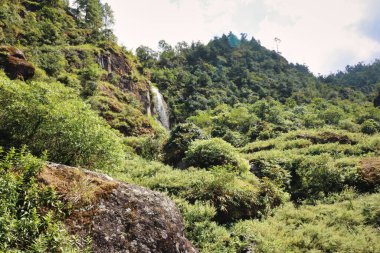 Nepal, Lukla yakınlarındaki aşağı Himalayalar 'ın yoğun dağ ormanları boyunca kayalık yamaçlardan çağlayan şelaleler.