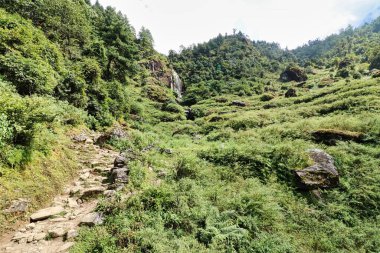 Nepal, Lukla yakınlarındaki aşağı Himalayalar 'ın yoğun dağ ormanları boyunca kayalık yamaçlardan çağlayan şelaleler.