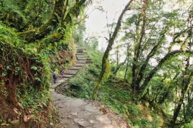 Hikers move up along the lower himalayan trails in the village of Paiya,near Lukla, on route to the  Base camp of Mera Peak,a 6476 meter high peak in the Khumbu Himalayas,Nepal clipart