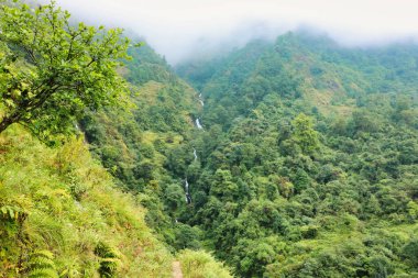 Nepal Pangom Köyü yakınlarındaki muson aylarında Himalaya eteklerinin aşağısındaki yoğun bulut ormanlarından dağ dereleri taşar.