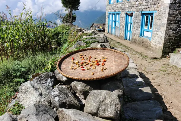 Nepal, Lukla yakınlarındaki Khumbu himalaya bölgesindeki verimli tarım arazilerinin yakınında güneşte güneşlenen kırmızı biberler kurur.