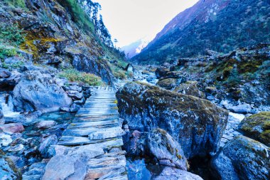 Scenic river view of the Hinku river valley near Kothe,3560 m in the Makalu Barun national park,Mera Peak expedition,Nepal clipart