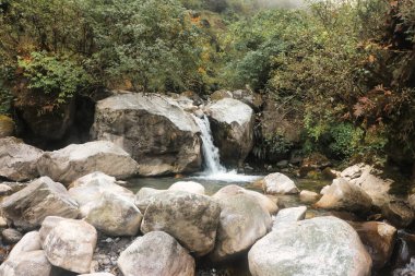 Dağcılar, Nepal 'deki Mera Peak yürüyüşünü tamamladıktan sonra Chutanga' daki ağaç hattının altından Lukla 'ya doğru inen ıslak dağ ormanları ve derelerle karşılaşırlar.