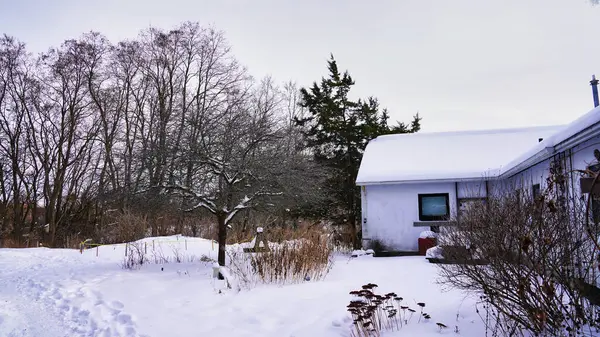 Kış boyunca yoğun kar yağışı Ottawa, Ontario, Kanada 'daki Dominion botanik bahçesindeki Fletcher Vahşi Yaşam Bahçesi' nin arazilerini ve binalarını kaplamaktadır.