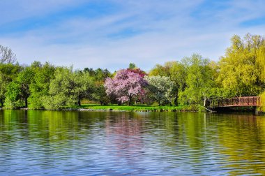 İlkbaharın güzel renkleri, pembe elma çiçekleri ve Dows Gölü 'nde Dominion Botanik Bahçeleri' nde çekilmiş bir kartpostal seti, Ottawa, Ontario, Kanada