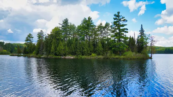 Gatineau Park, Quebec, Kanada 'daki Philippe Gölü içinde sessiz bir orman adası.