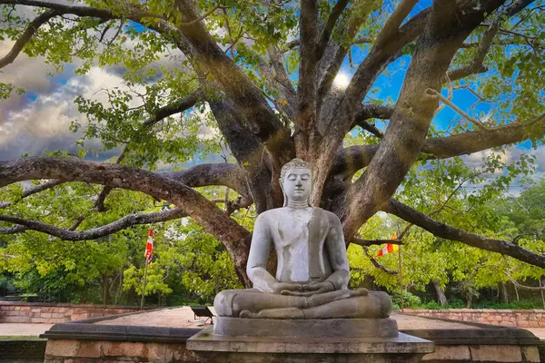 Buda 'nın dinginliği Bodhi ağacının altında nefis bir heykelle yakalanmış ve Anuradhapura, Sri Lanka' daki tarihi Abhayagiri dagoba 'nın içinden süzülen ayar ışınlarıyla birlikte.