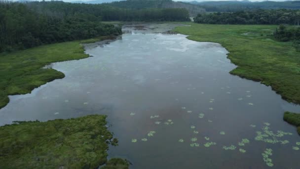 Vista Aérea Lago Con Agua Clara Parque Protegido Brasil — Vídeos de Stock