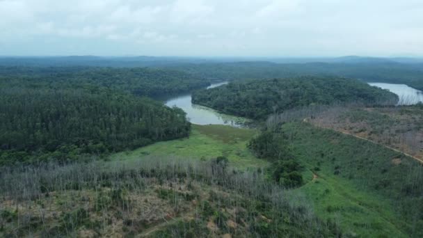 Vista Aérea Lago Con Agua Clara Parque Protegido Brasil — Vídeos de Stock