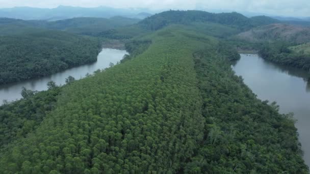 Повітряний Вид Озера Чистою Водою Захищеному Парку Бразилії — стокове відео