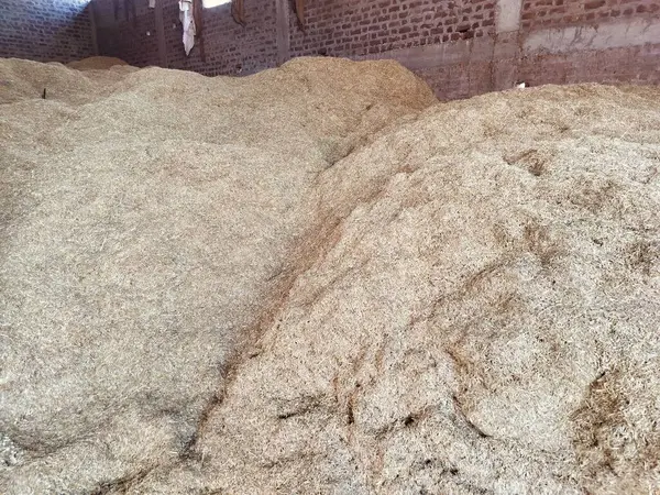 Pile of wheat\'s straw. After harvesting the wheat crop, its straw is used to feed the animals and fertilizers in field in India