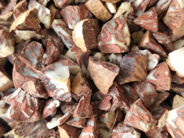 Betel cevizinin küçük dilimlerinin arka planı. Areca fındığı ya da betel fındığı küçük parçalar..