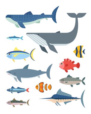Düz stil okyanus balığı vektör çizimi