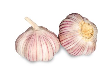 Stripe garlic bulbs on white background. Seasonings and spices