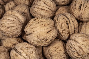 Whole walnuts with shell close up. Food and drink