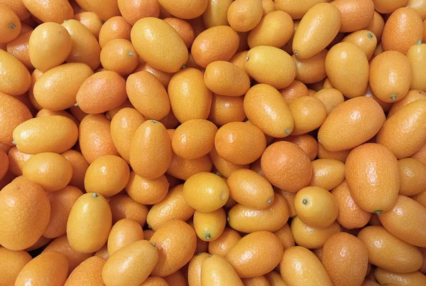 Des Kumquats Juteux Frais Fond Orange Kumquats Fruits Tropicaux — Photo