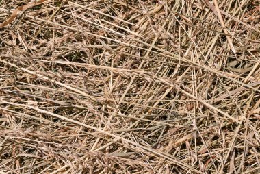 Otları kes ve kurut. Doğal altyapı ve dokular