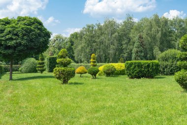 Yeşil biçilmiş ağaçları ve çimleri olan güzel bir bahçe manzarası. Peyzaj parkları ve açık hava