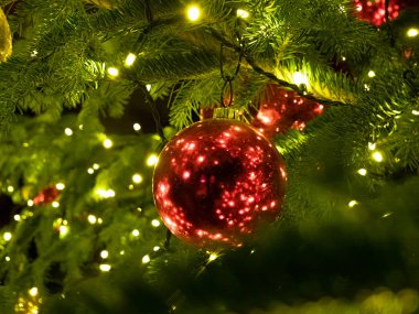 Sıcak peri ışıklarıyla aydınlatılmış, ağaca asılı kırmızı bir Noel süsü.