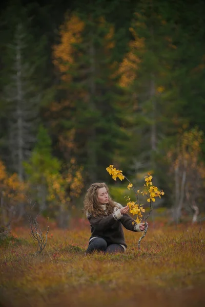 Güzel Bir Sonbahar Ormanında Küçük Sarı Bir Huş Ağacının Yanında — Stok fotoğraf