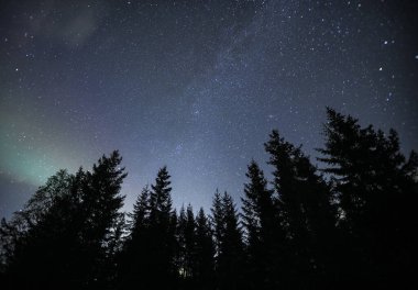 Açık gece gökyüzü altındaki ladin ormanının silueti. Yıldızlar görünür, güzel doğa manzarası.
