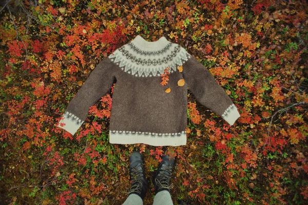 Wełna Puchnie Kolorowym Jesiennym Gruncie Jesienna Odzież Modowa — Zdjęcie stockowe