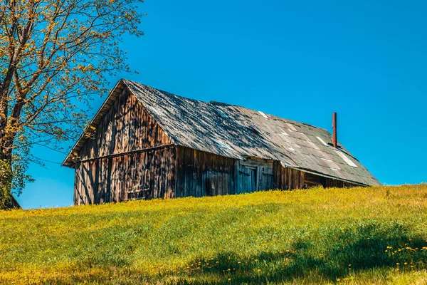 stock image A country house on a hill in a field of summer dandelions. Uninhabited abandoned.